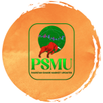 PSM