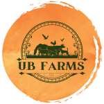 UB Farm